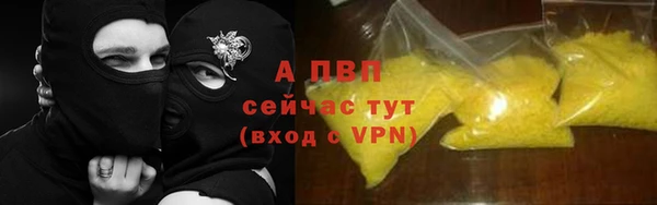 амф Горняк